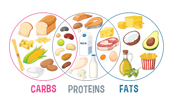 carbs, proteins, fat